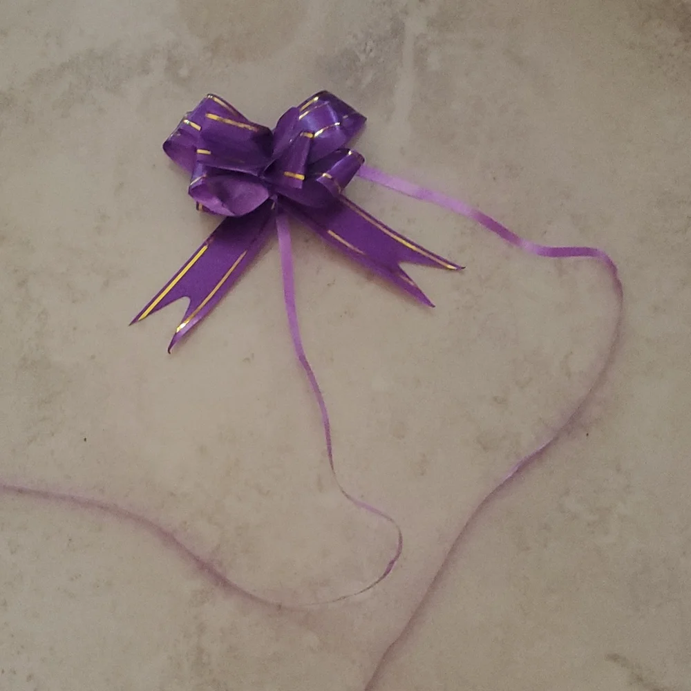 Purple Ribbon/Bow nwot